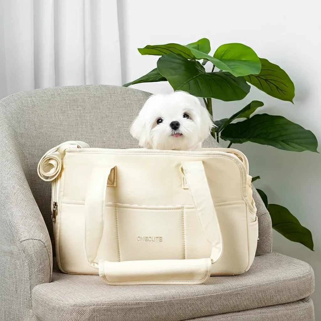 Vue du sac de transport beige avec petit chien