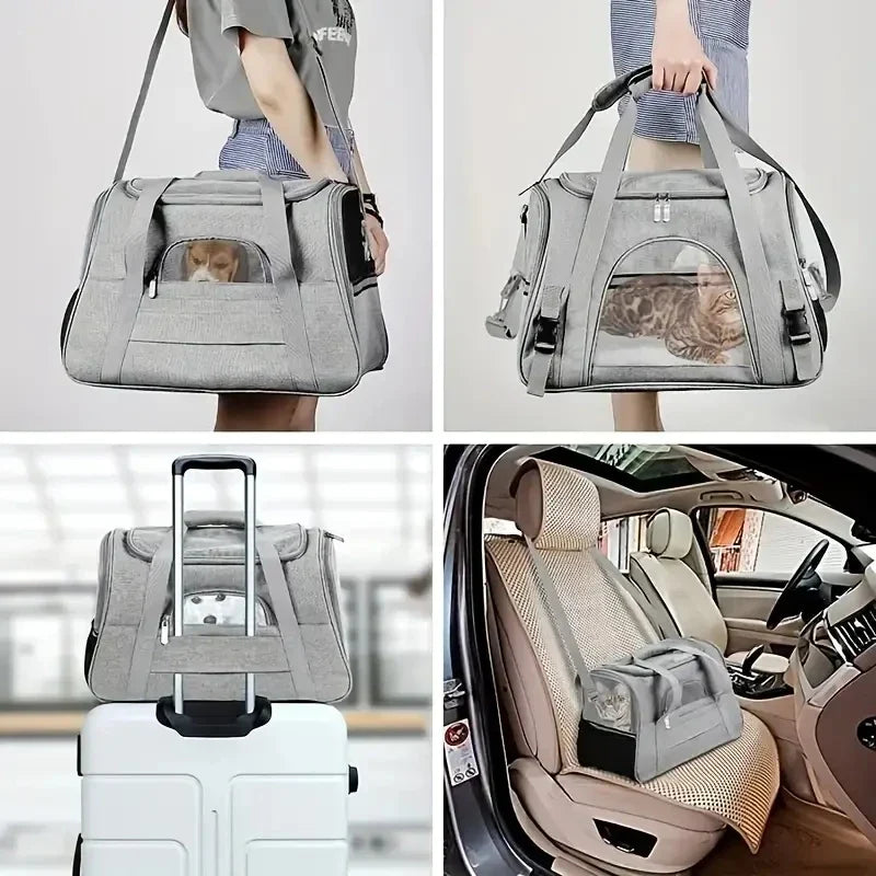 Différentes utilisations du sac de transport gris pour chat