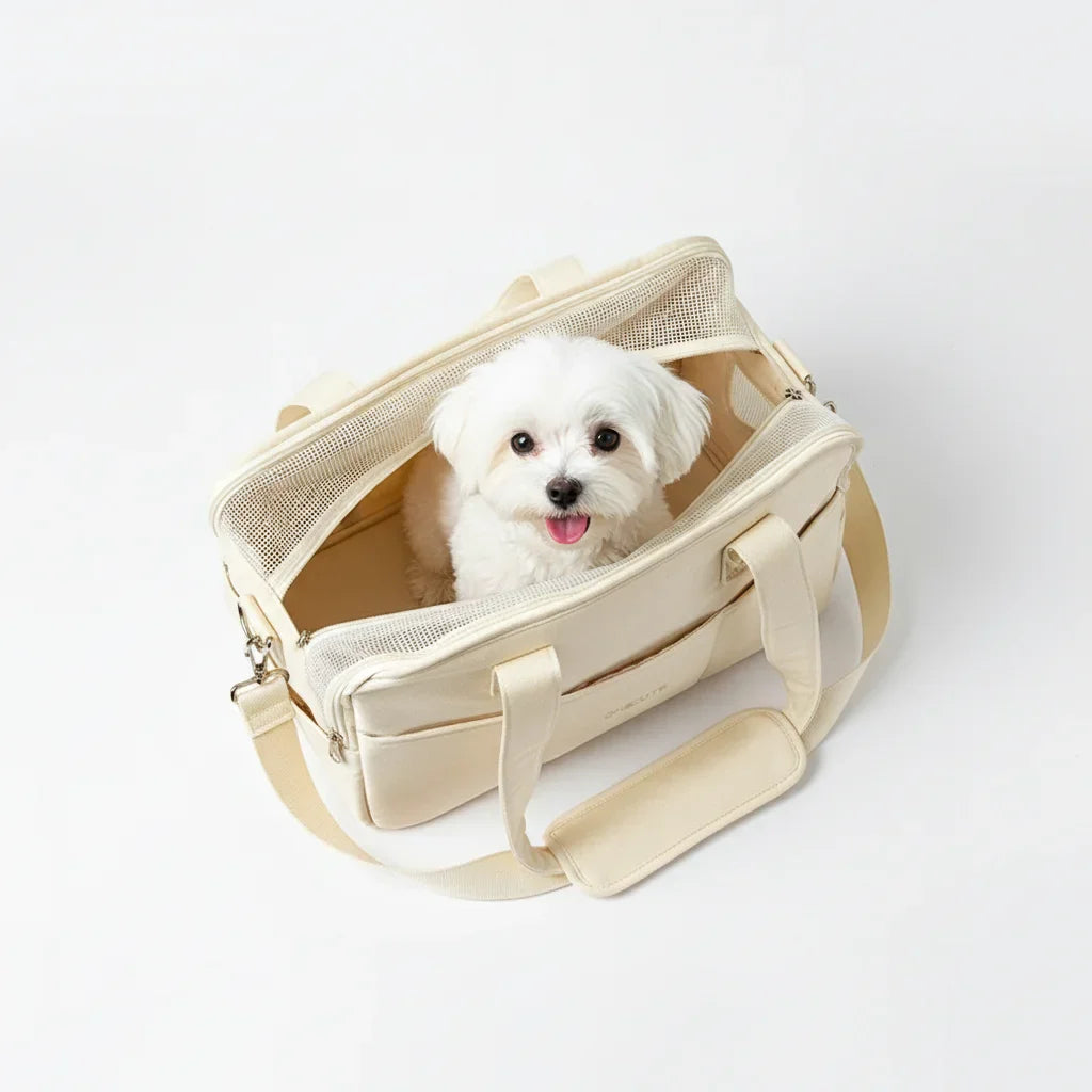 Petit chien dans un sac de transport beige avec ouvertures en maille