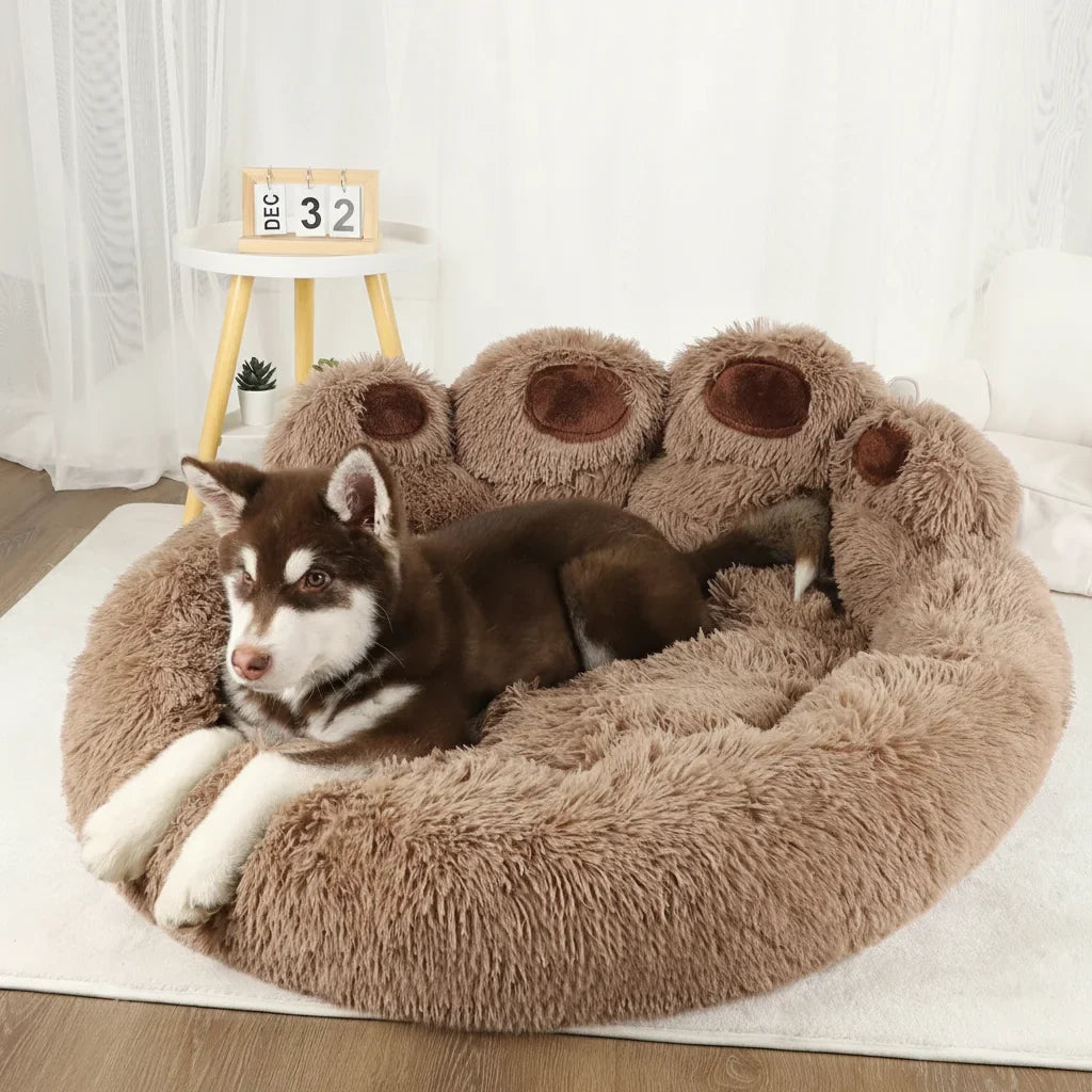 Chien installé dans un lit marron en forme de patte