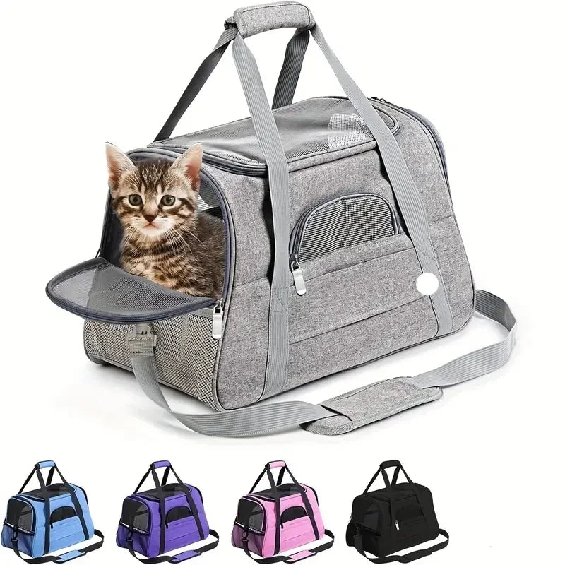 Chat dans un sac de transport gris avec aperçu des différents coloris