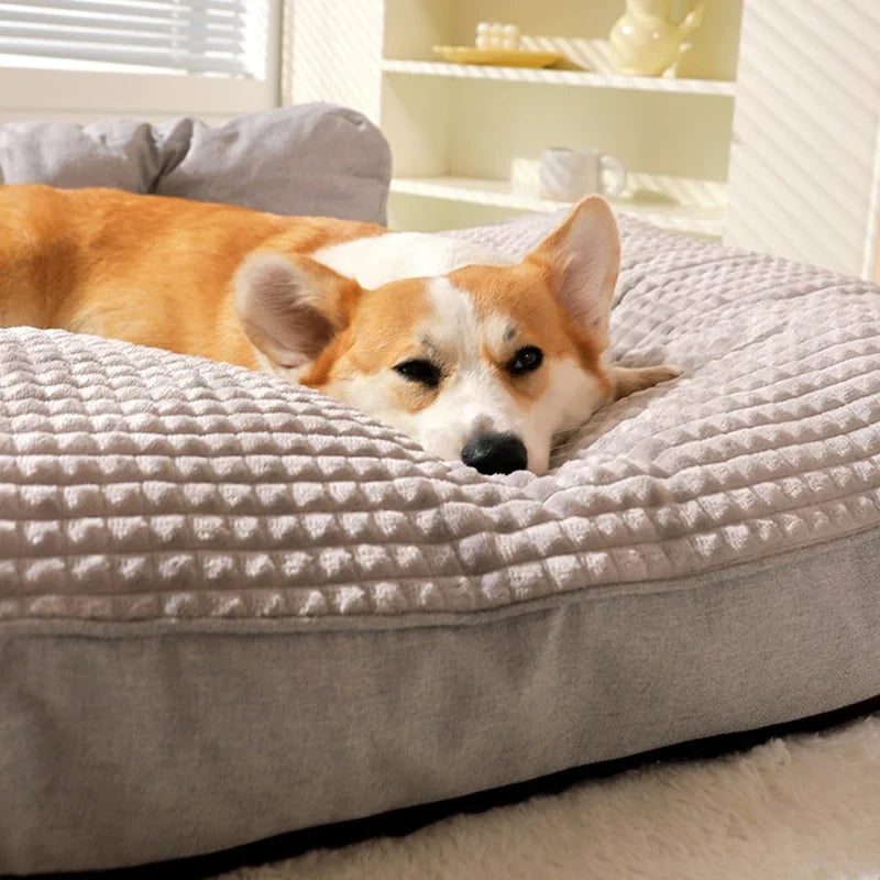 Chien installé dans un lit douillet gris – vue rapprochée